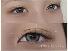 エモア 開発店(e.moa)/LEDマツエク/圧倒的持ちの良さ