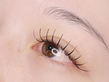 エルレ(ELRe)/フラット120本