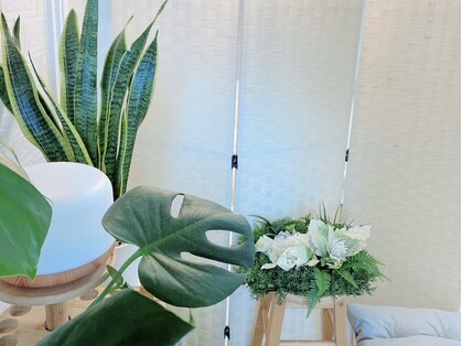 ボディメンテMomu-classの写真