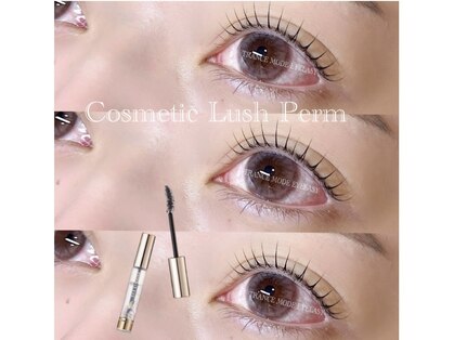 トランスモード アイラッシュの写真