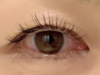 カラン 焼津店(CALIN)/フラットラッシュ120本