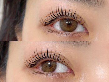 プエルタ ボーテ(PUERTA BEAUTE)/【まつ毛パーマメーテルロッド】