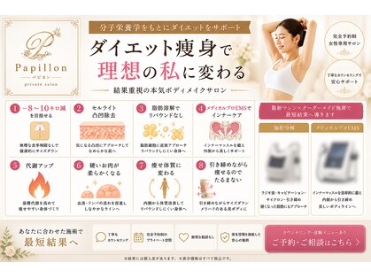 パピヨン(Papillon)の写真