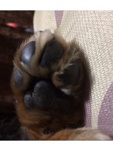 ホグラボ 横須賀中央本店(HOGULABO)&nbsp;Tomi トミ