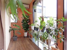 サロンエヌ(salon N)/salon雰囲気