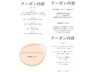 【平日限定SALE】カラー長さカール限定フラットラッシュ100本/束感仕上オフ込