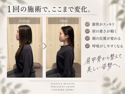 癒しま専科の写真