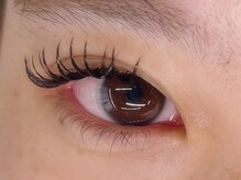 インザピンクリリー(in the pink LILY)/バインドロック120束