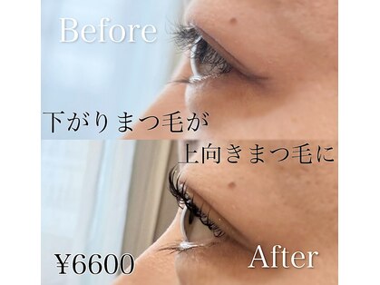 メメ(meme)の写真