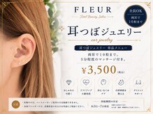 トータル ビューティ サロン フルール(Total Beauty Salon FLEUR)の雰囲気（耳つぼジュエリーまつげと併用して同時施術可能です♪）