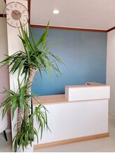 シャイニー(Shiny)/受付