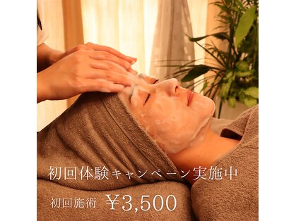 フィエルテ(Fielte)の写真