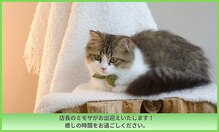 晴々