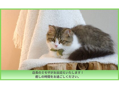 晴々の写真