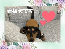プルート(Pluto)/たまに遊びにくる愛犬も☆