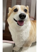 あんころもち&nbsp;あんこ ろもち店長