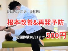 プラスリボディベース サガ(+Rebody Base Saga)