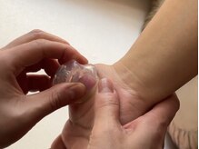 ロサ ケンティフォリア(Rosa centifolia)