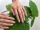 ネイル リズム(Nail Lism)の写真/大人女性を魅了する上品なシンプルネイル★一人ひとりの肌色に合わせたカラー提案もお任せ◎