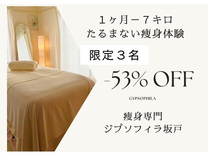 ジプソフィラ 坂戸店の写真