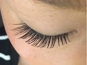 シュシュ(chou chou)/セーブル180本(chouchou吉祥寺)