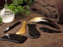 ウォームス(Warmth)