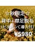 【秋限定】後ろ姿に自信が持てる☆背中＋襟足脱毛☆(ビタミンC導入付)¥5980