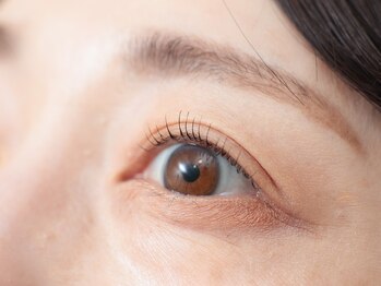 美睫堂 一宮店の写真/【一宮エリア初】自まつ毛を守りながら、自然で品のある美しさを。大人女性の"横顔美人"を創る技術