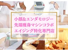 ソフィア ミューズ 目黒