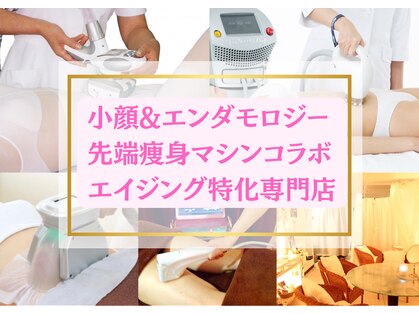 ソフィア ミューズ 目黒の写真