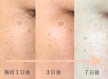 ココアース(Coco Earth)