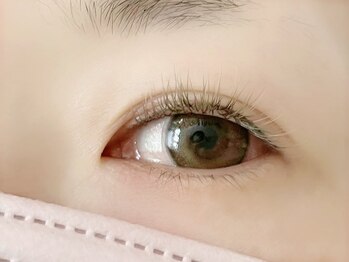 ハール(haar)/オリーブ×シアーブラウン