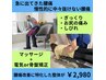 【腰痛/お尻の痛み/足の痛み/シビレ/慢性腰痛/ギックリ】でお悩みの方 ¥2,980