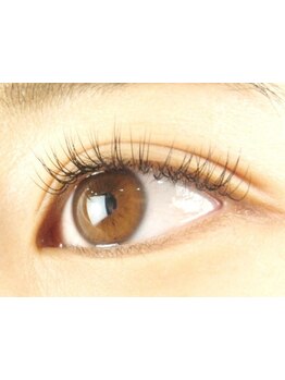 初めての方にオススメ