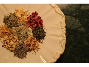 ステラヘルバ/ハーブ