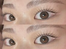 モルレーヴ(MOLREVE)/メーテルロッド