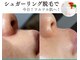 シーズン(Season)の写真