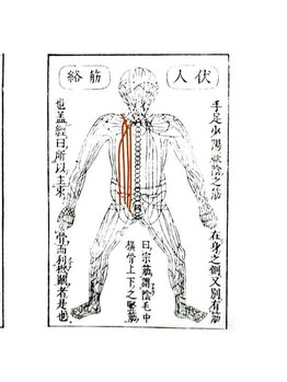 りれいず/腱引きって何ですか？？