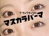 脱パンダ目★マスカラパーマ（下）￥6000
