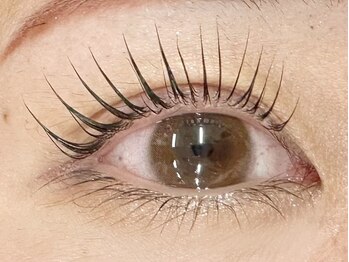 ヴィフ(Vif)/パリジェンヌラッシュリフト