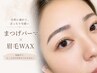【8月限定】メイクが楽になるまつげパーマ+垢抜け眉毛WAX SET¥7960