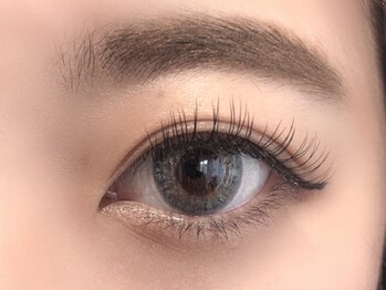 リビング(LIVING)/【フラットラッシュ８０本】