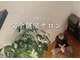 ポポラス(POPORAS)の写真