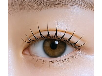 リノ(Lino)の写真