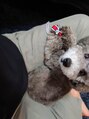 サロン コフク(SALON Cofuku) 愛犬命です^_^