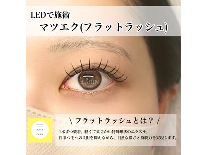 カリン(CARIN)の写真