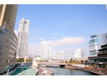 ラ テール(La Terre)/桜木町/馬車道/関内/日ノ出町