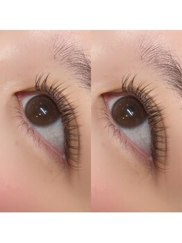 ディレット(DILETTO)/フラット120本