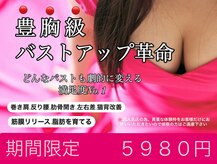 ビービリア(B.villea)