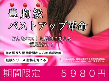 ビービリア(B.villea)